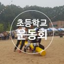 녹양초등학교 이미지