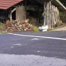 통나무민박2 이미지