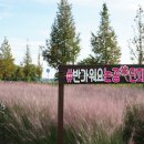 장기리마을회관 이미지