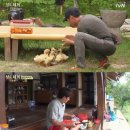 오리아재 이미지