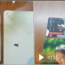 대동디지털마을도서관 이미지