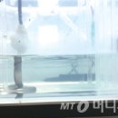 수비드 머니투데이