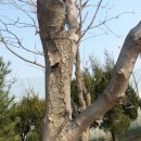 용인바이오고등학교 이미지