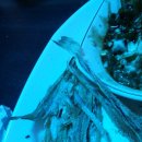 착한가맥 이미지