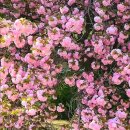 칠봉목장 이미지