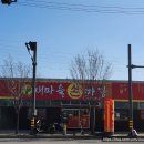 새마을손짜장 이미지
