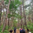 20230527부처님 오신날 통도사15 암자순례 이미지