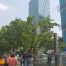 신사역365 약국 이미지