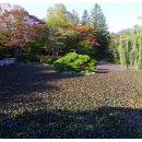 안압지농장 이미지