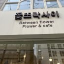 꽃뜨락사이 이미지