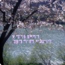 바람이쉬어가는곳 이미지