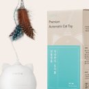 토이헤어 이미지