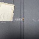 신라헤어블루