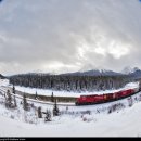 CW-2009-01 이미지