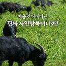 약산 해풍흑염소