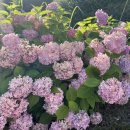 GS25 삼락공원점 이미지