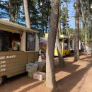 전기차충전소_수목원테마파크 이미지