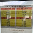 개도중앙1로 | 🌊 [여수 개도 청석포 백패킹 후기]“고요 속에서 마음을 세우는 하루”