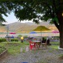 화도왕오리 이미지