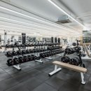 리스펙짐 이미지