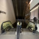 디그 | 스타필드애비뉴 그랑서울점 맛집 원디그리노스 내돈내산 후기 &amp; 메뉴 추천