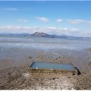 순천-34호 이미지