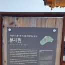 푸른분재원 이미지