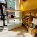 플랜멍 강아지분양 포항점 이미지