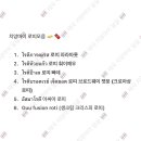 🇹🇭🥥🍍🧋✈️내 모든 데이터를 꺼내서 알려주는 한달살기성지 태국 치앙마이 여행 달글🇹🇭🌴☀️🥭 이미지