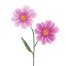 영아뒷고기
