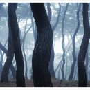 경주한국대중음악박물관 이미지