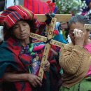 이륙농장 이미지