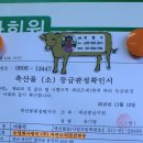 한우소리 이미지