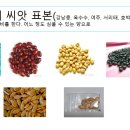 씨앗 전도 자료(Seed evangelism material) 나눕니다 - 오천만의 로마서 이미지