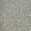 슈가브리움 2 이미지