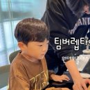 팀버렙타일곤충;파충류샵
