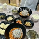 날마다웃는집오징어랑 | 속초 완도회식당 오징어물회 주말 새벽 웨이팅 메뉴 주차 포장 맛 솔직후기