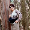 산록남로 이미지