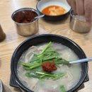WR(부산광역시 영도구)-[해양로]-상-35 | [부산 3박4일] 부산까지 가서 해운대는 안다녀온 가족 여름 휴가 🏖️ #3 셋째날 기록