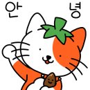 국기도장 이미지
