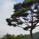 세븐포스 이미지