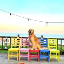 풀하우스펜션 이미지