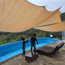 더머물다 이미지