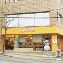 [부산카페추천]애견 애묘 동반 가능! 반전매력이 있는 망미동카페 카페포토이 방문후기 주차정보