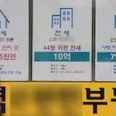 대가공인중개사무소 이미지