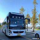 함안면공설운동장 | 2024 함안 문화유산야행 낙화축제 무진정 낙화놀이 관람후기