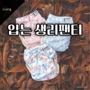 대안세탁 | 입는 생리팬티 쿠프 면생리대, 1년 사용 후기와 세탁법