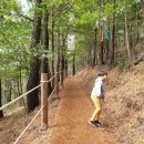 저지오름주차장 이미지