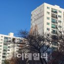 시그널 공인중개사사무소 이미지