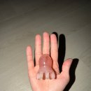 쌍용19길 | 아맞다 블챌! 10월 얼렁뚱땅 마무리